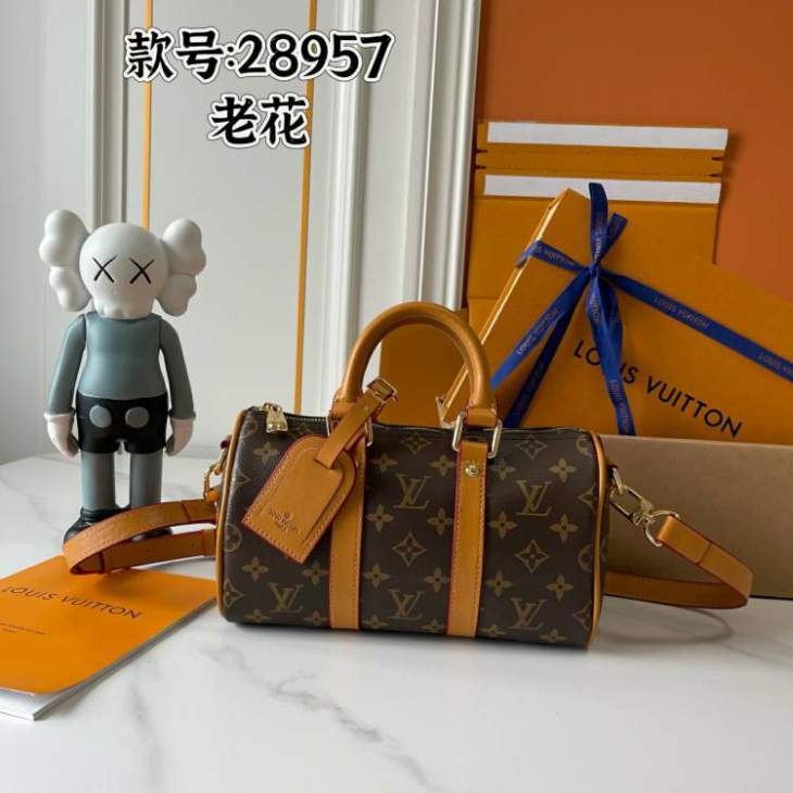 Picture of Louis Vuitton Handbags _SKUfw232841416fw